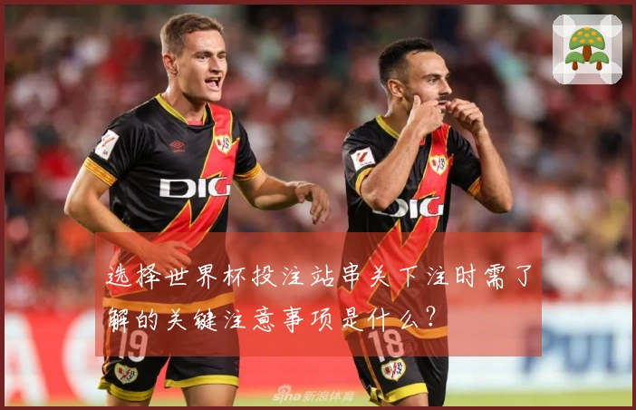 选择世界杯投注站串关下注时需了解的关键注意事项是什么？