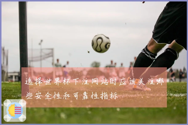 选择世界杯下注网站时应该关注哪些安全性和可靠性指标